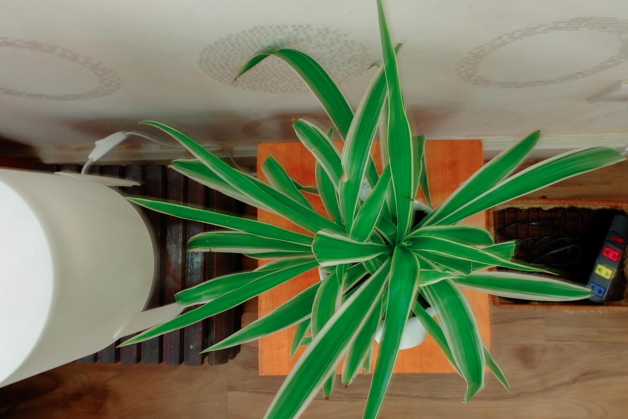 Magari Homestay Ho Chi Minh-byen Eksteriør bilde