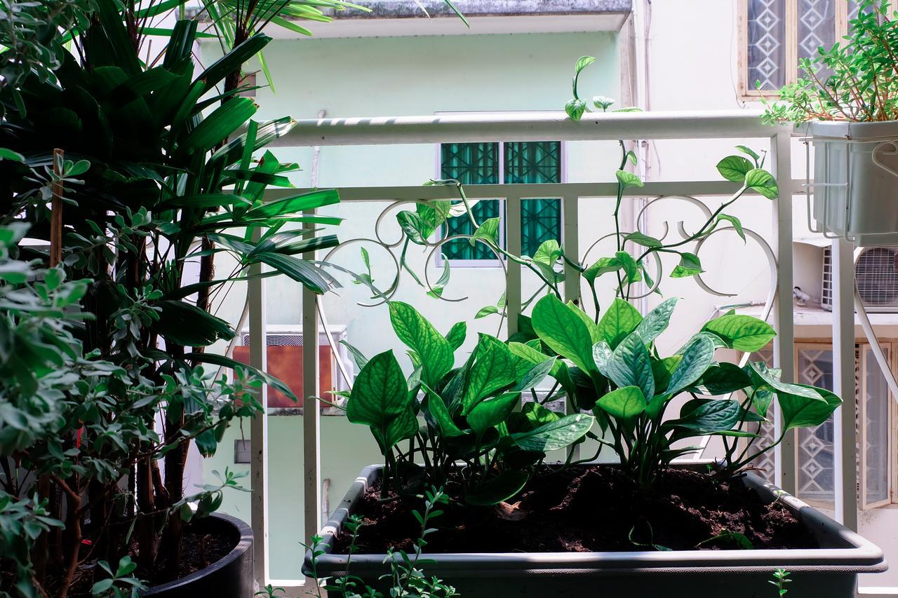 Magari Homestay Ho Chi Minh-byen Eksteriør bilde